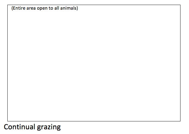 Continual Grazing.jpg